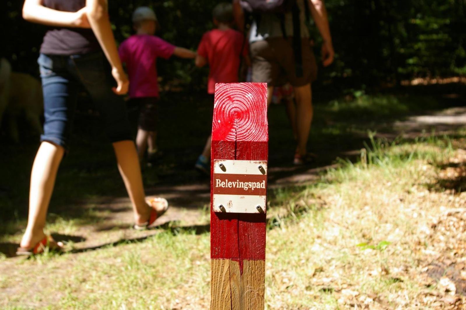Camping De Reeenwissel Hoogersmilde Екстериор снимка