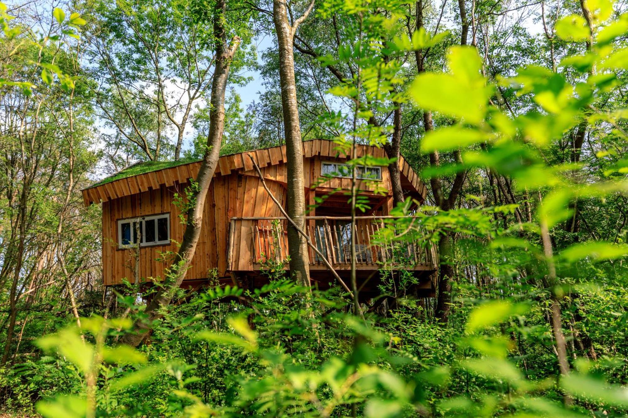Camping De Reeenwissel Hoogersmilde Екстериор снимка